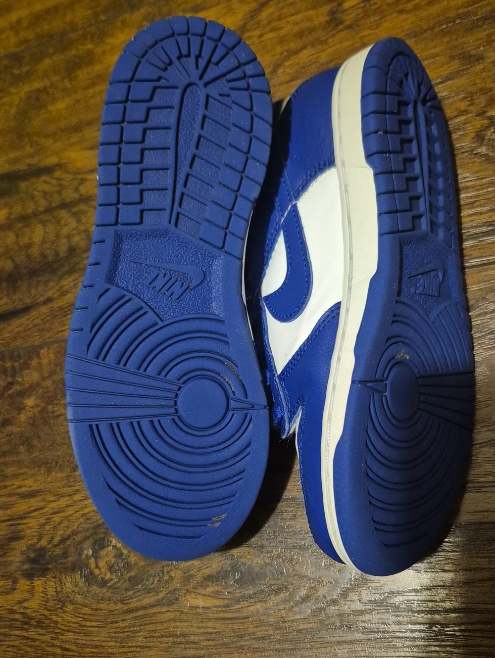 Nike Kids Royal Blue Dunks and White Low-Top Sneakers